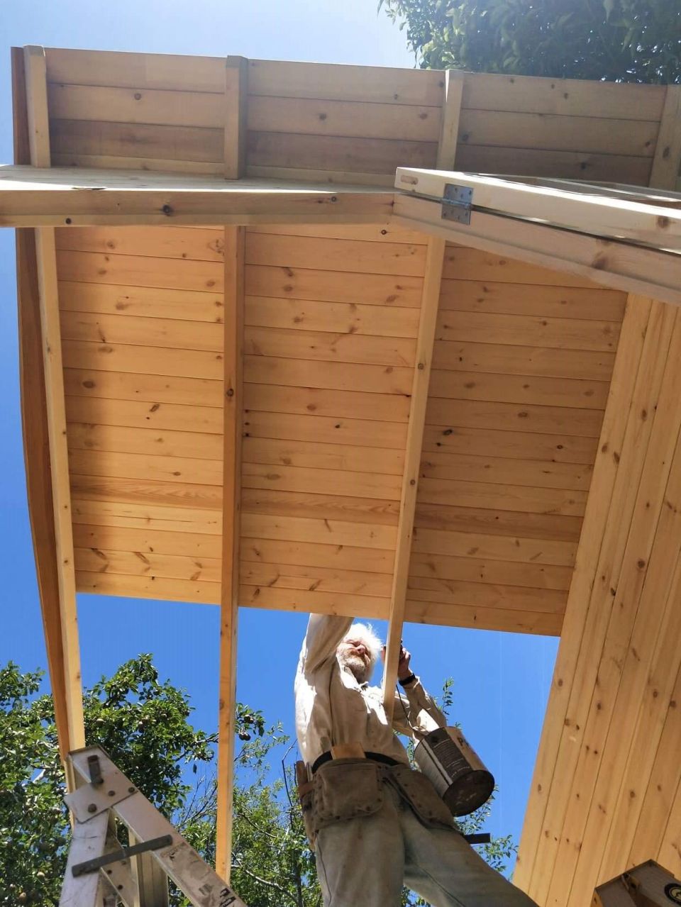 SheShed Construction