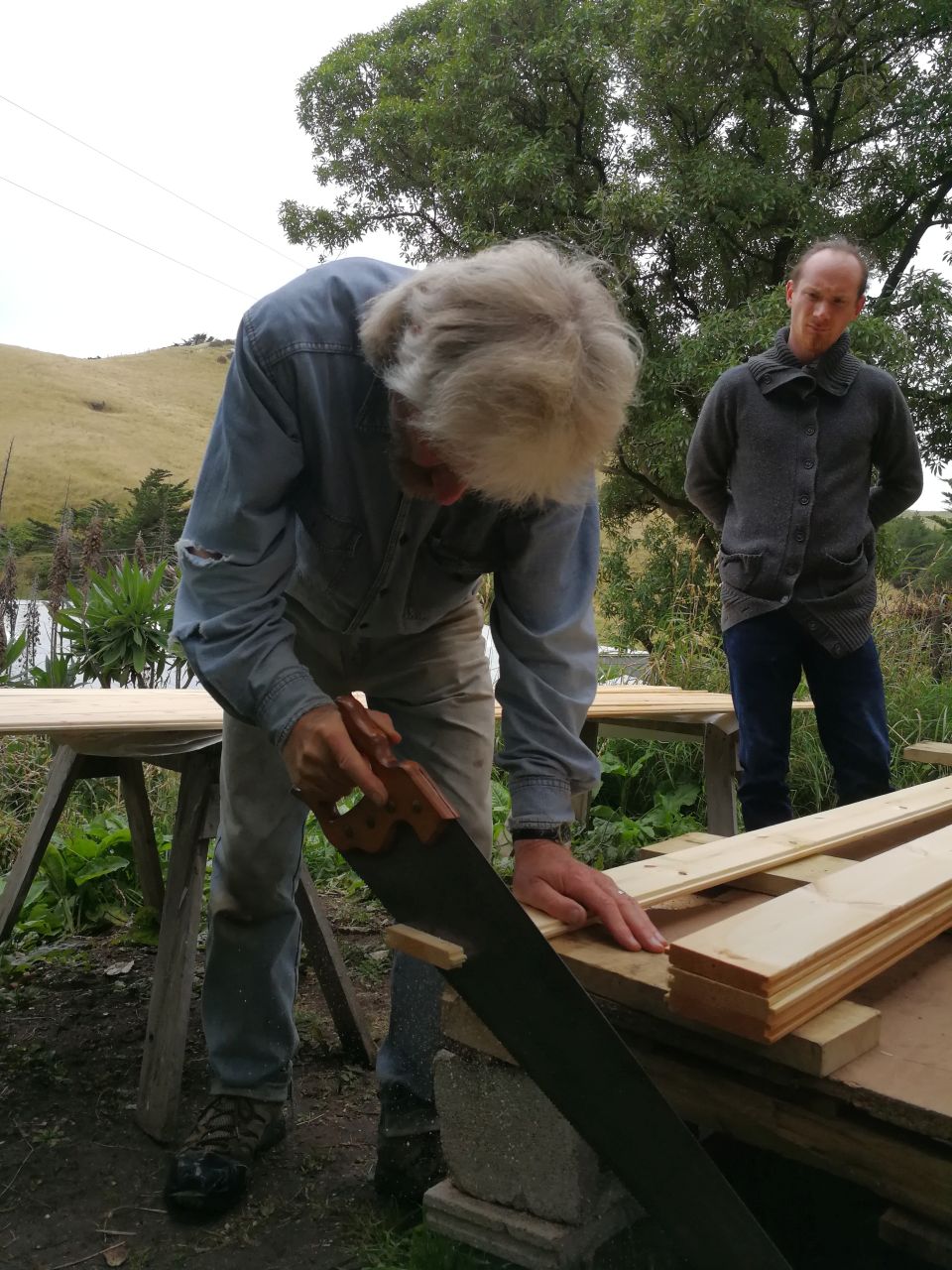 SheShed Construction