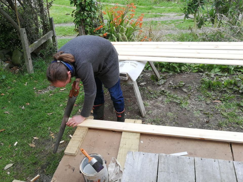 SheShed Construction