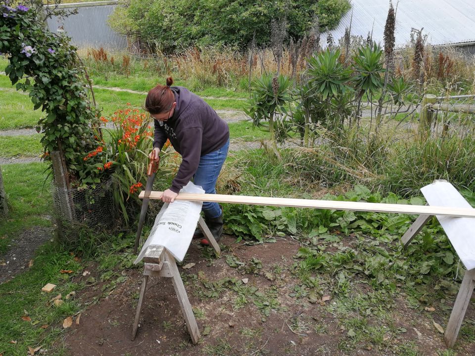 SheShed Construction