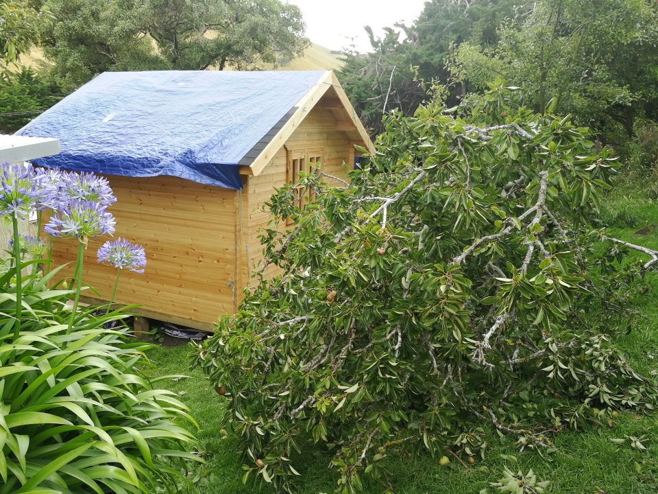 SheShed Construction