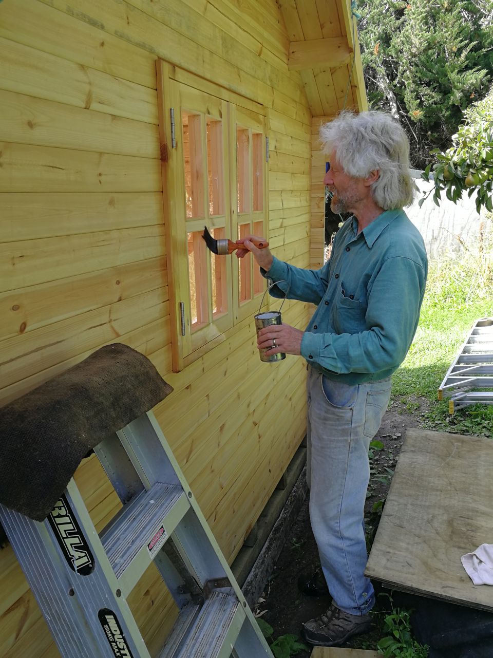 SheShed Painting