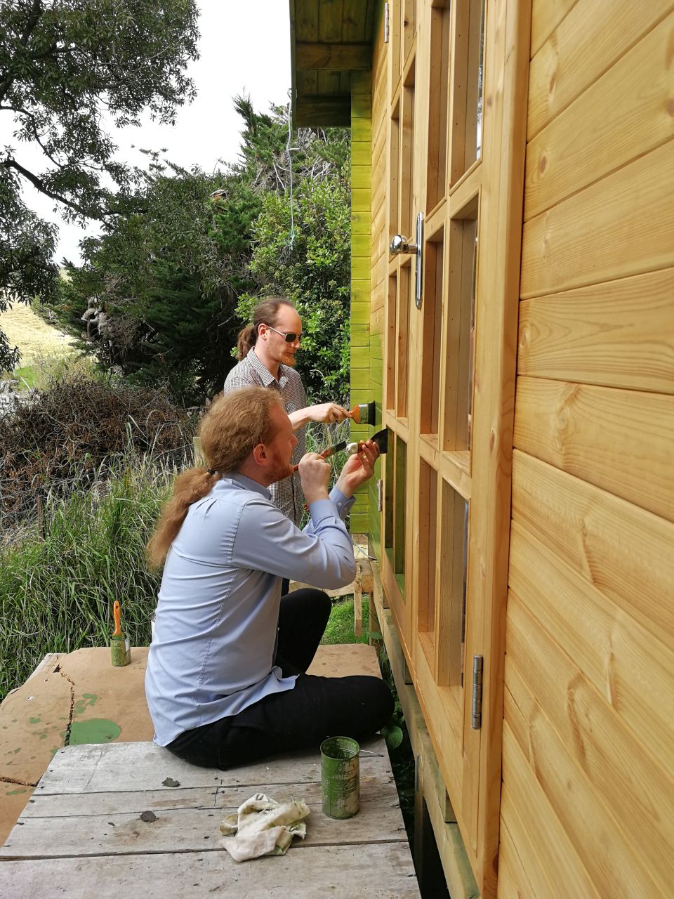 SheShed Painting