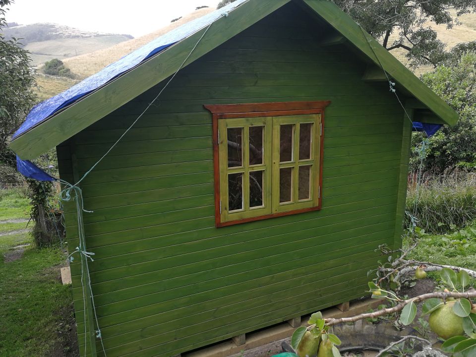 SheShed Painting