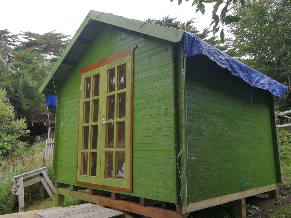 SheShed Painting