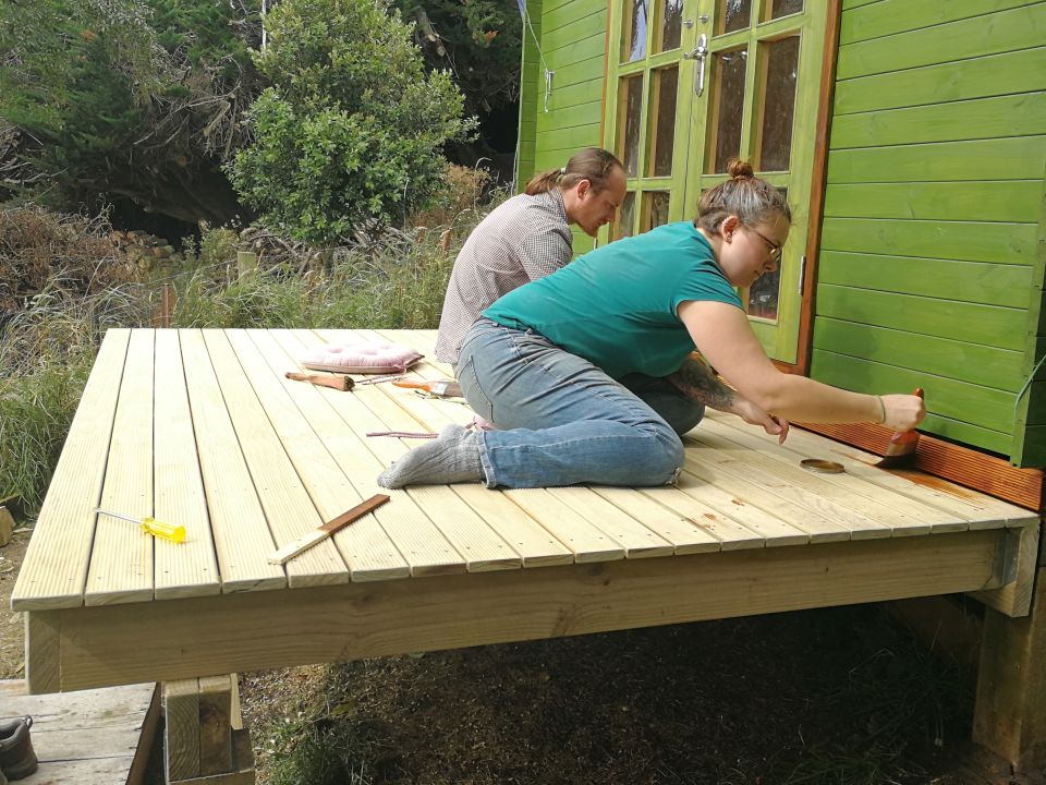 SheShed Painting