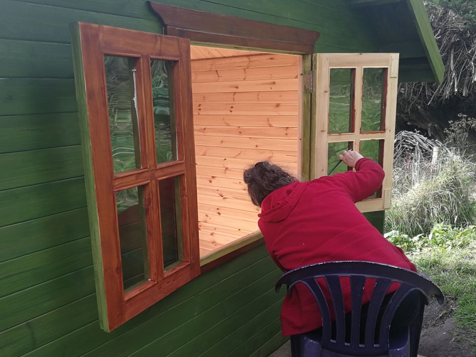 SheShed Painting