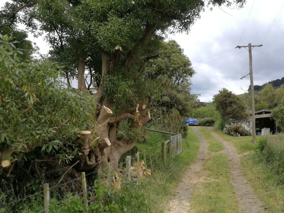 SheShed Preparation