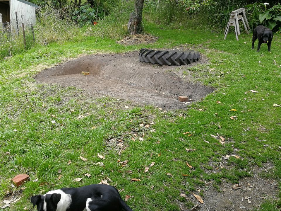 SheShed Preparation